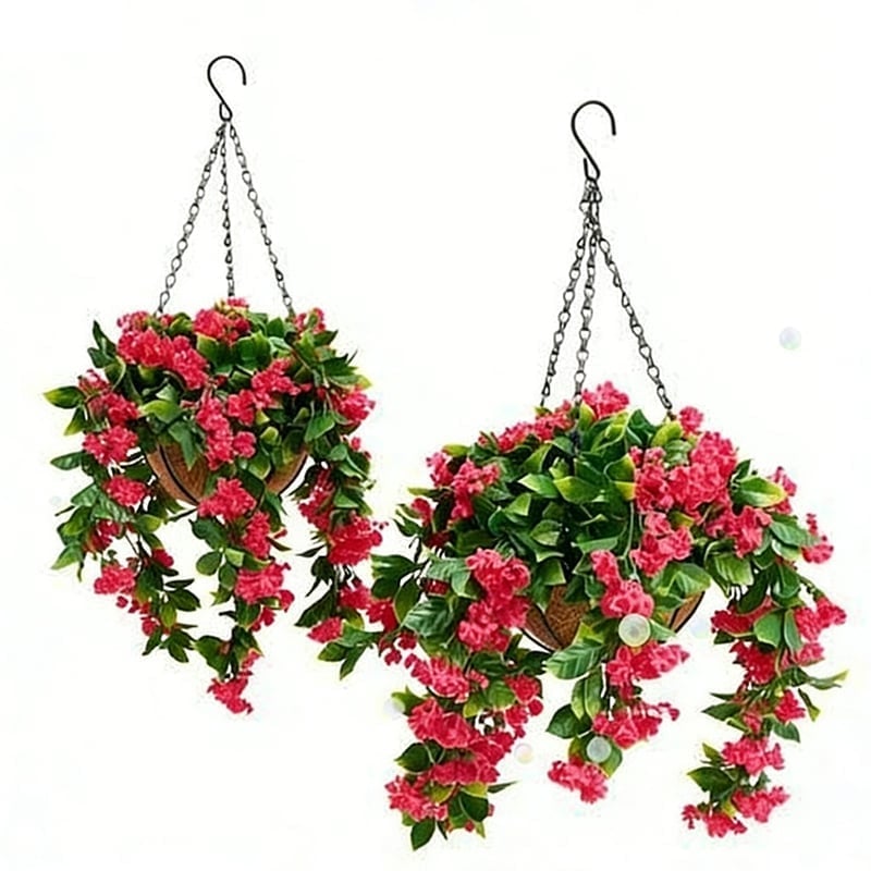 red(1pc)